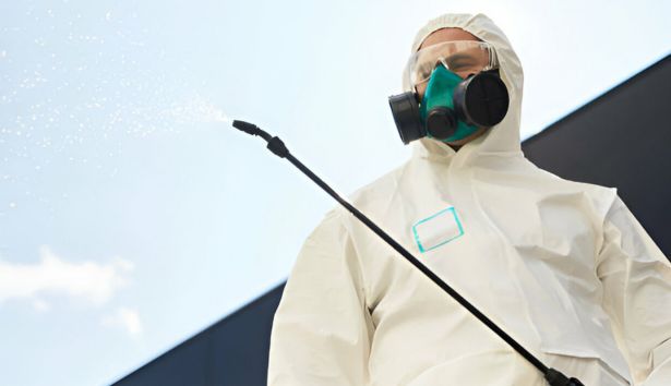Pest Control Werribee